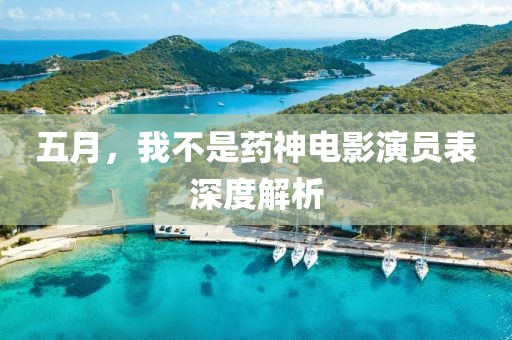 五月，我不是药神电影演员表深度解析