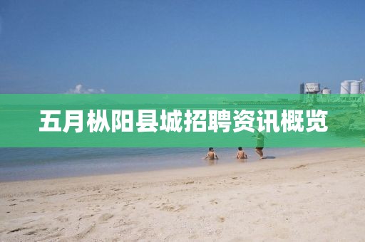 五月枞阳县城招聘资讯概览