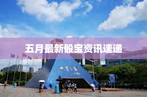 五月最新骰宝资讯速递