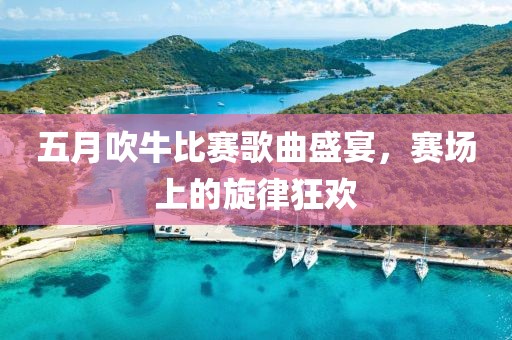 五月吹牛比赛歌曲盛宴，赛场上的旋律狂欢