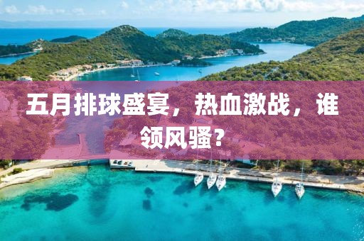 五月排球盛宴，热血激战，谁领风骚？