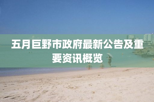 五月巨野市政府最新公告及重要资讯概览