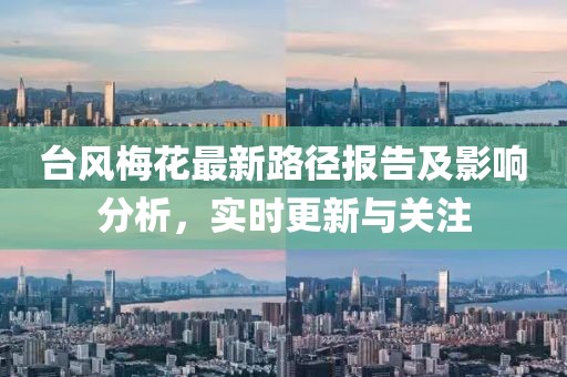 台风梅花最新路径报告及影响分析，实时更新与关注