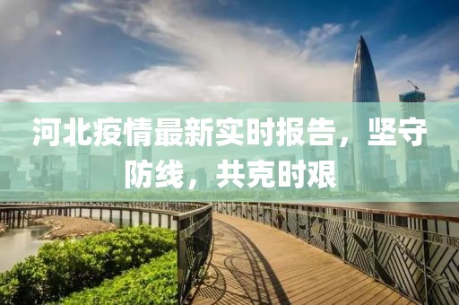 河北疫情最新实时报告，坚守防线，共克时艰