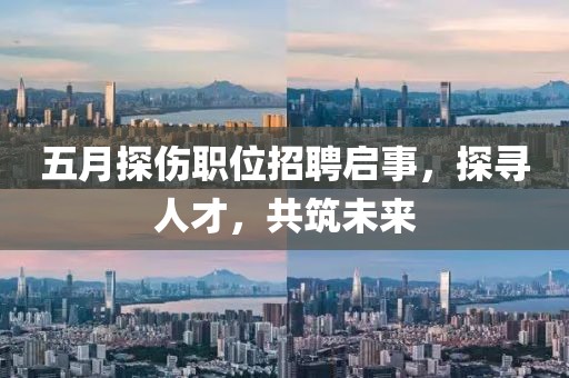 五月探伤职位招聘启事，探寻人才，共筑未来