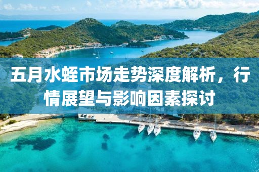 五月水蛭市场走势深度解析，行情展望与影响因素探讨