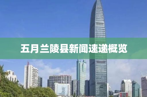 五月兰陵县新闻速递概览