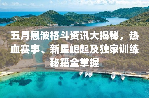 五月恩波格斗资讯大揭秘，热血赛事、新星崛起及独家训练秘籍全掌握