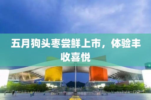 五月狗头枣尝鲜上市，体验丰收喜悦