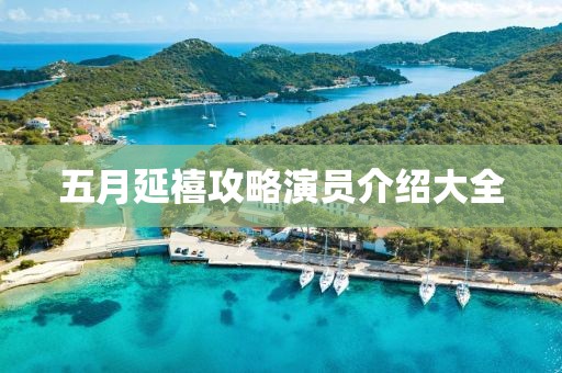 五月延禧攻略演员介绍大全