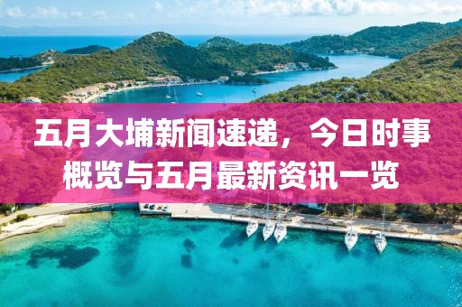 五月大埔新闻速递，今日时事概览与五月最新资讯一览