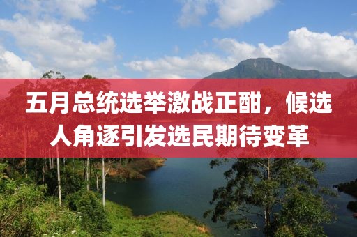五月总统选举激战正酣，候选人角逐引发选民期待变革