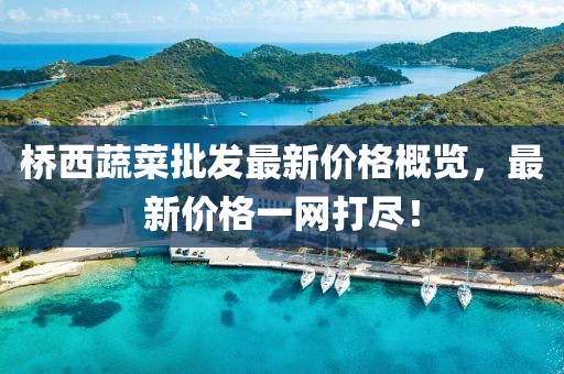 桥西蔬菜批发最新价格概览，最新价格一网打尽！