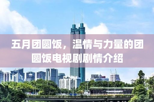 五月团圆饭，温情与力量的团圆饭电视剧剧情介绍