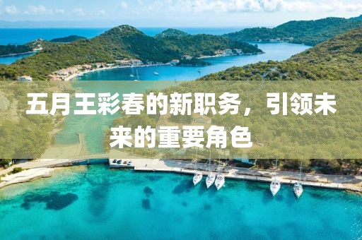 五月王彩春的新职务，引领未来的重要角色