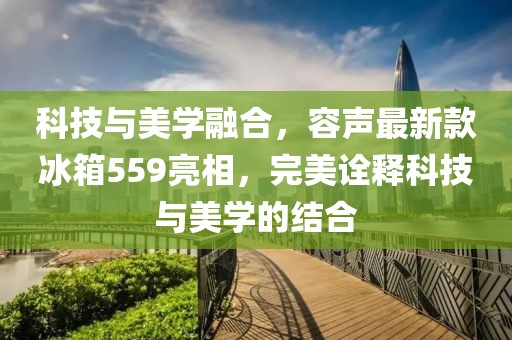科技与美学融合，容声最新款冰箱559亮相，完美诠释科技与美学的结合