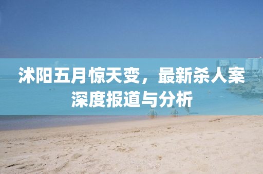 沭阳五月惊天变，最新杀人案深度报道与分析