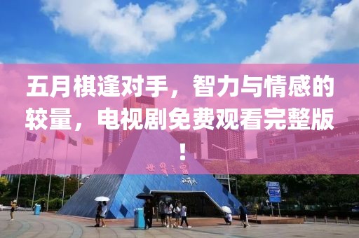 五月棋逢对手，智力与情感的较量，电视剧免费观看完整版！