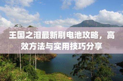 王国之泪最新刷电池攻略，高效方法与实用技巧分享