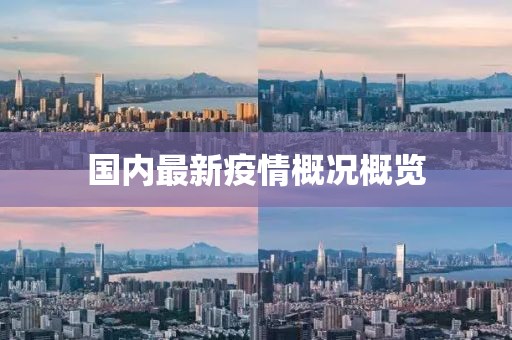 国内最新疫情概况概览