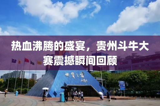 热血沸腾的盛宴，贵州斗牛大赛震撼瞬间回顾