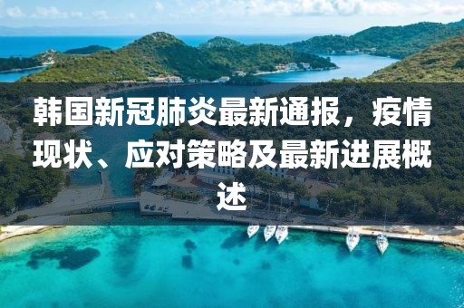 韩国新冠肺炎最新通报，疫情现状、应对策略及最新进展概述