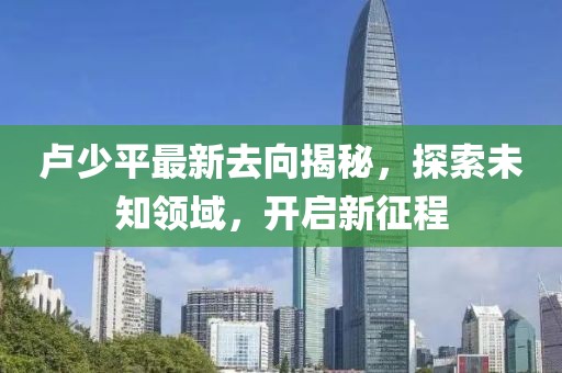 卢少平最新去向揭秘，探索未知领域，开启新征程