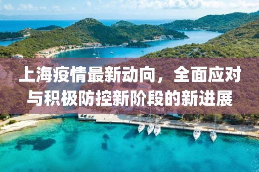 上海疫情最新动向，全面应对与积极防控新阶段的新进展