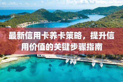 最新信用卡养卡策略，提升信用价值的关键步骤指南