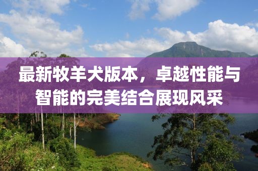 最新牧羊犬版本，卓越性能与智能的完美结合展现风采