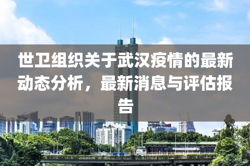 世卫组织关于武汉疫情的最新动态分析，最新消息与评估报告