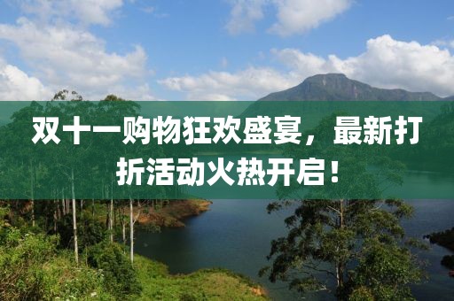 双十一购物狂欢盛宴，最新打折活动火热开启！