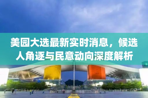 美园大选最新实时消息，候选人角逐与民意动向深度解析