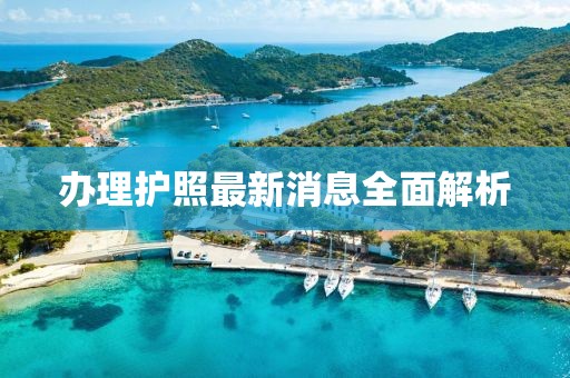 办理护照最新消息全面解析