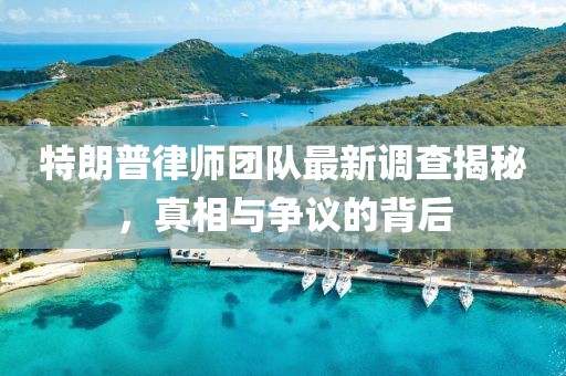 特朗普律师团队最新调查揭秘，真相与争议的背后