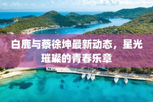 白鹿与蔡徐坤最新动态，星光璀璨的青春乐章