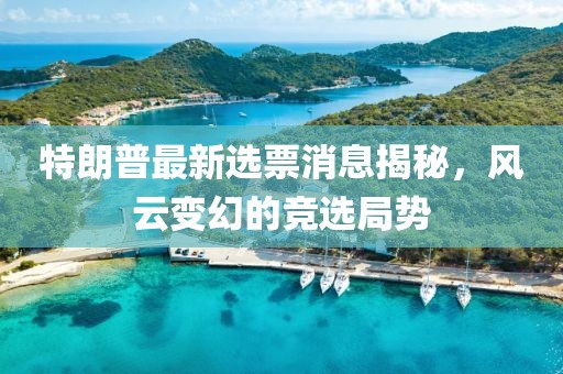 特朗普最新选票消息揭秘，风云变幻的竞选局势