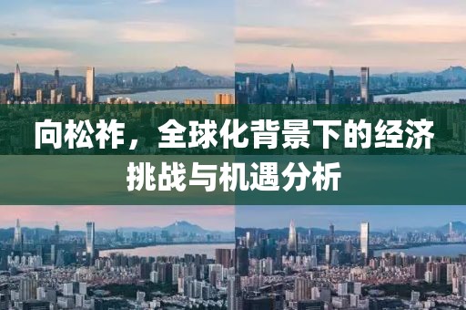 向松祚，全球化背景下的经济挑战与机遇分析