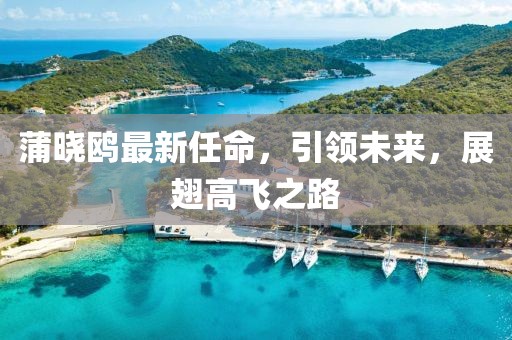 蒲晓鸥最新任命，引领未来，展翅高飞之路