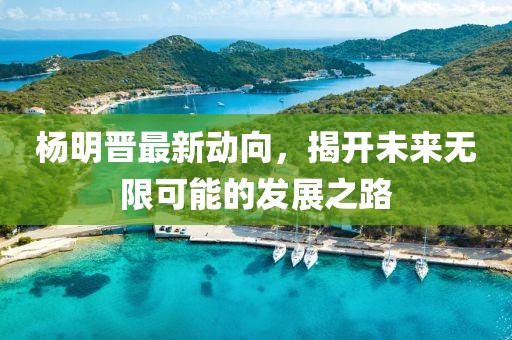 杨明晋最新动向，揭开未来无限可能的发展之路