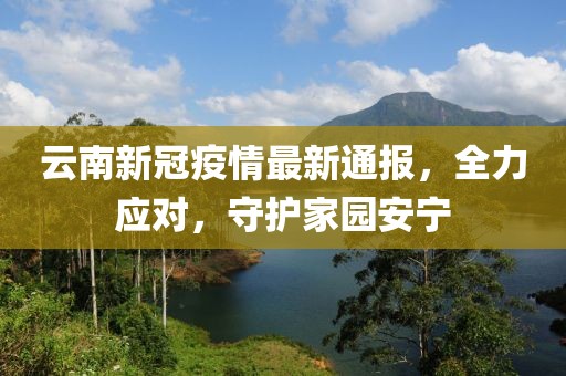 云南新冠疫情最新通报，全力应对，守护家园安宁