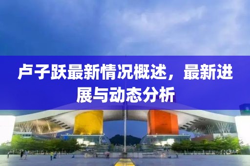 卢子跃最新情况概述，最新进展与动态分析