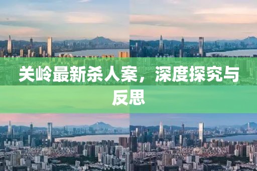 关岭最新杀人案，深度探究与反思