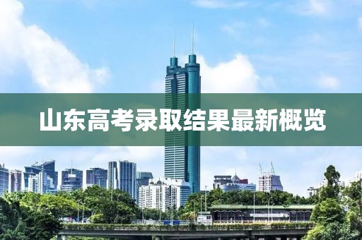 山东高考录取结果最新概览