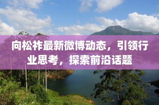 向松祚最新微博动态，引领行业思考，探索前沿话题