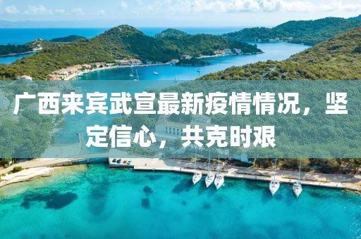 广西来宾武宣最新疫情情况，坚定信心，共克时艰