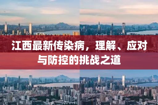 江西最新传染病，理解、应对与防控的挑战之道