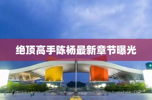 绝顶高手陈杨最新章节曝光