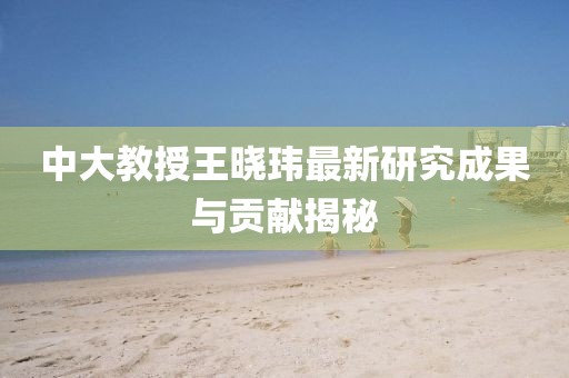 中大教授王晓玮最新研究成果与贡献揭秘