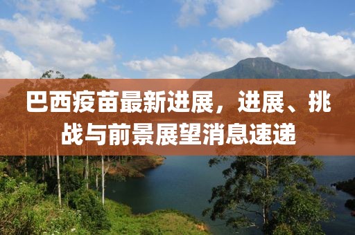 巴西疫苗最新进展，进展、挑战与前景展望消息速递